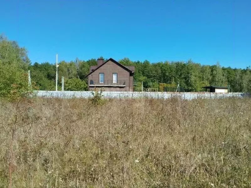 Участок в Воронежская область, Новоусманский район, Усманское 1-е ... - Фото 2