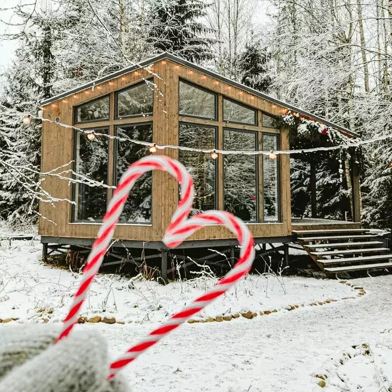 Дом в Ленинградская область, Выборгский район, Приморское городское ... - Фото 1