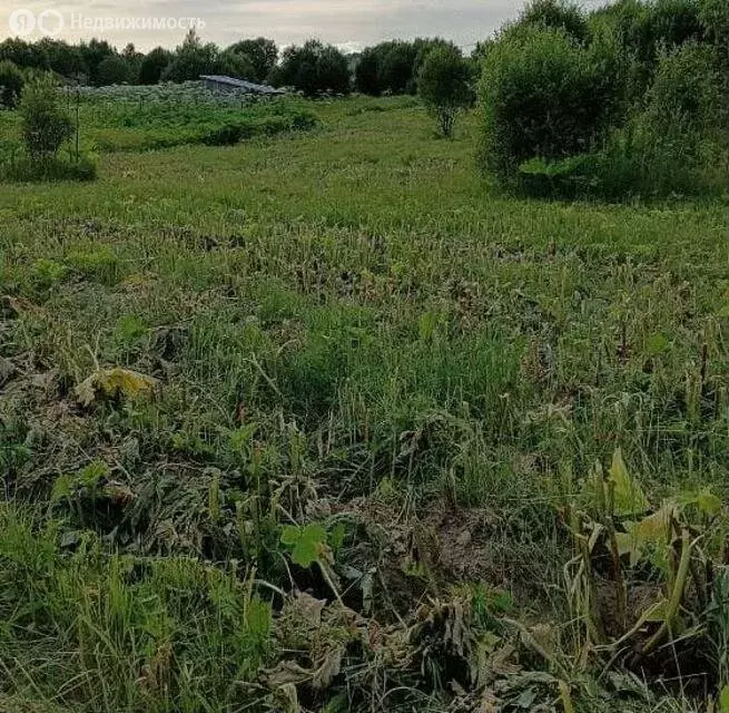 Участок в Волосовский район, Бегуницкое сельское поселение, деревня ... - Фото 1