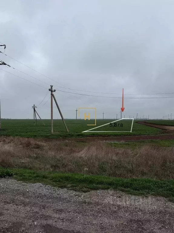 Участок в Крым, Сакский район, с. Молочное  (580.0 сот.) - Фото 2