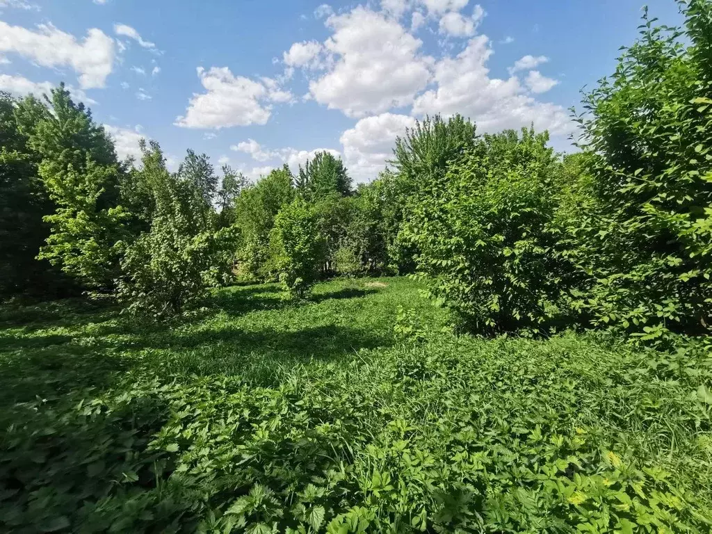Участок в Московская область, Коломна городской округ, д. Храброво  ... - Фото 1