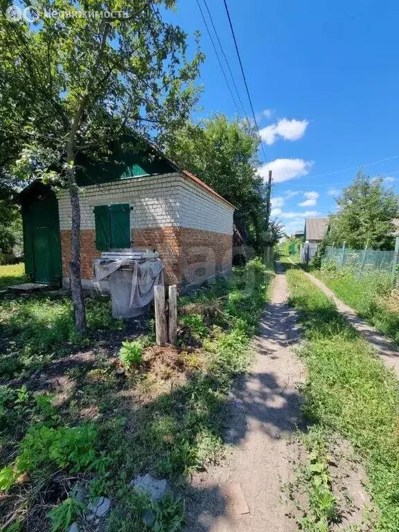 Дом в Тамбов, СНТ Медик (30 м) - Фото 1