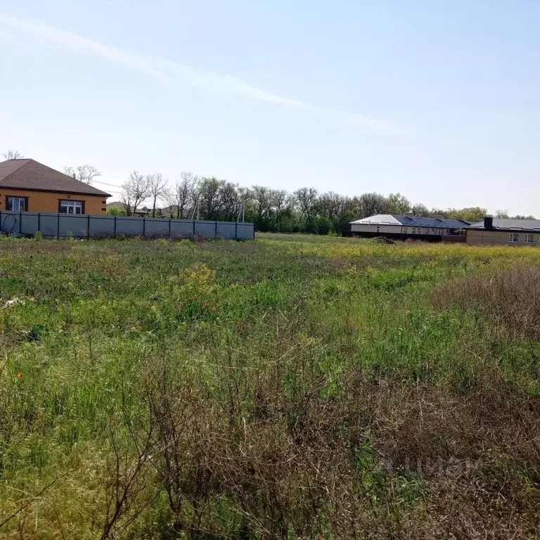 Участок в Ростовская область, Неклиновский район, с. Новобессергеневка ... - Фото 1