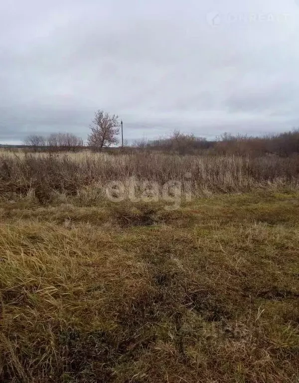 Участок в Мордовия, Саранск городской округ, Луховка рп ул. Садовая ... - Фото 0