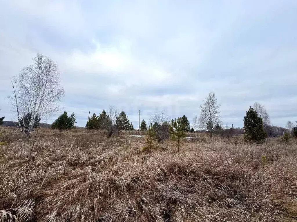 Участок в Свердловская область, Талицкий муниципальный округ, пос. ... - Фото 1