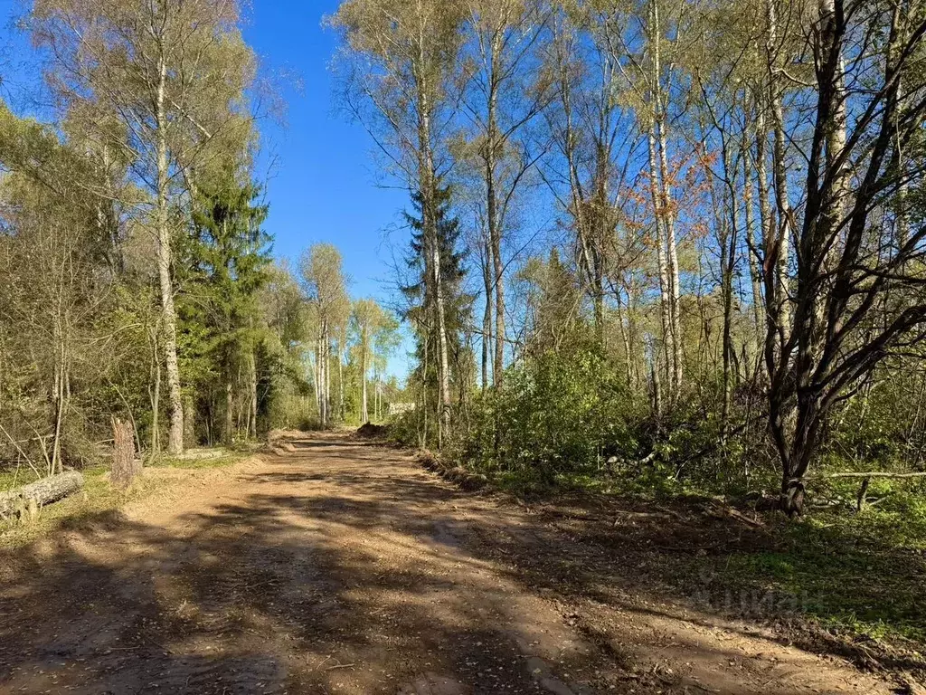 Участок в Московская область, Рузский муниципальный округ, пос. ... - Фото 2