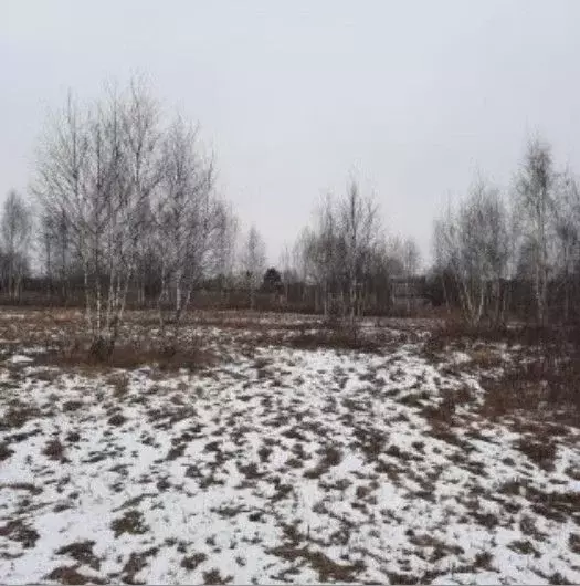 Участок в Московская область, Ступино городской округ, д. Тростники ... - Фото 0