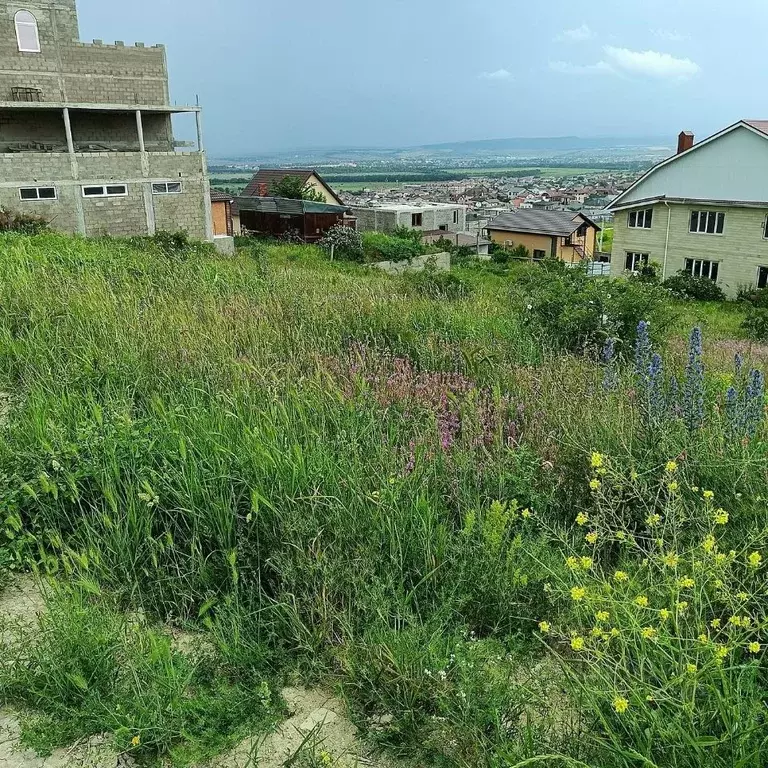 Участок в Краснодарский край, Анапа муниципальный округ, с. Супсех ул. ... - Фото 2