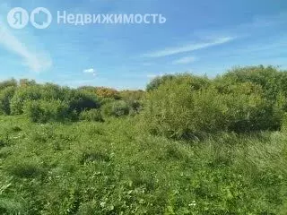 Участок в Тюменский район, садоводческое некоммерческое товарищество ... - Фото 1