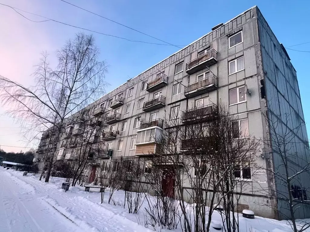 2-к кв. Ленинградская область, Гатчинский муниципальный округ, д. ... - Фото 1