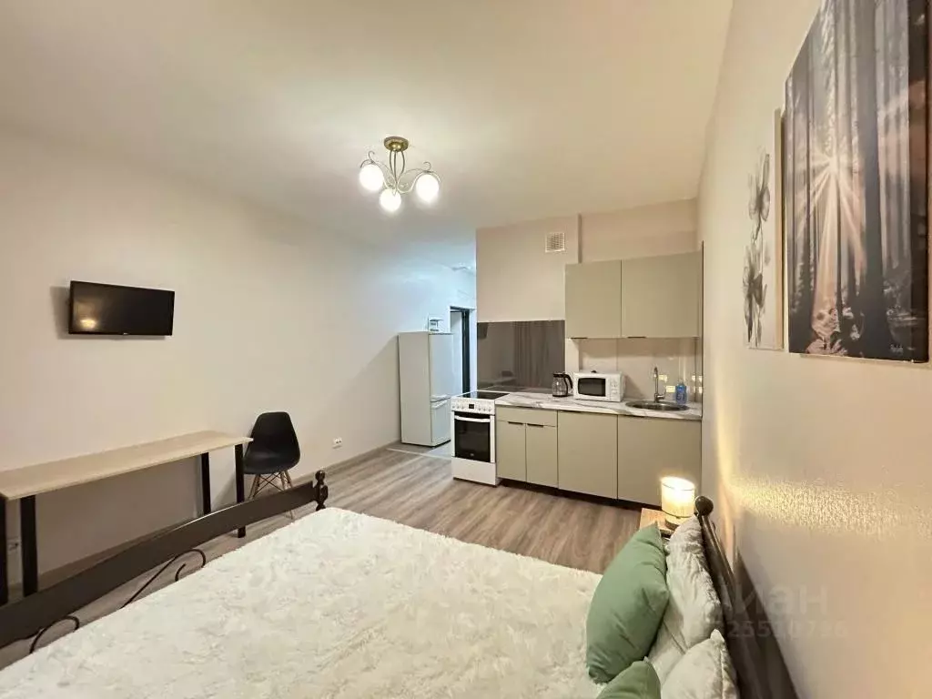 1-к кв. Санкт-Петербург ул. Типанова, 22 (28.0 м) - Фото 2