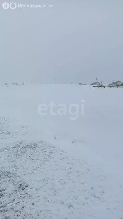 Участок в Республика Алтай, село Чоя (25 м) - Фото 1
