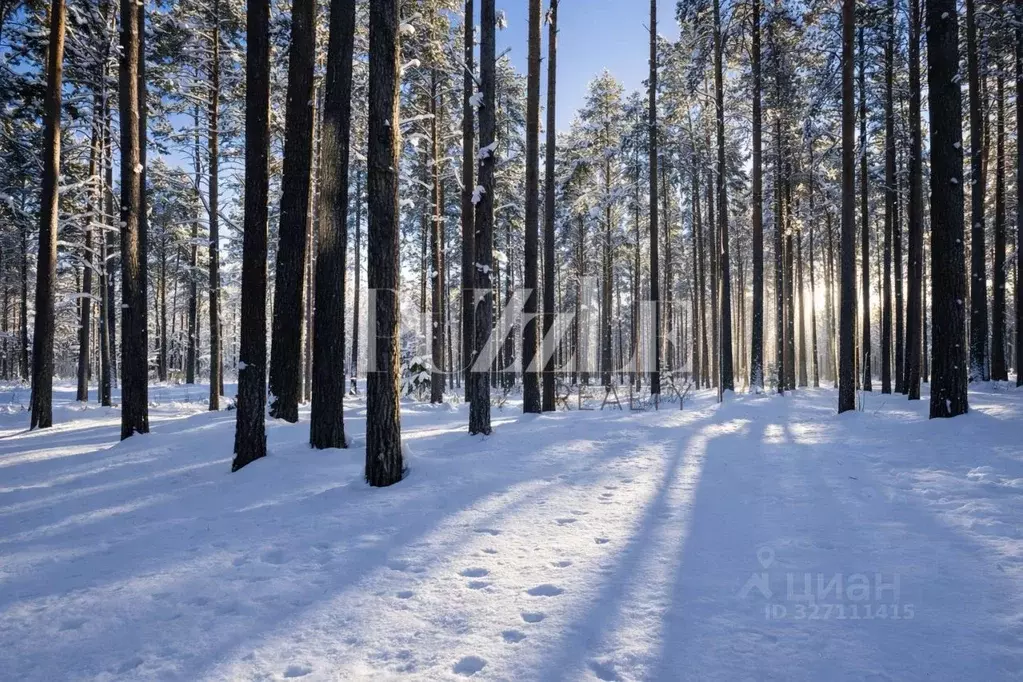 Участок в Ленинградская область, Приозерский район, Петровское с/пос, ... - Фото 1
