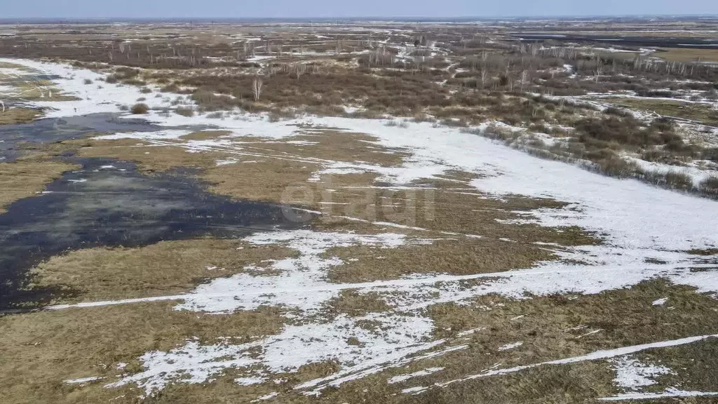 Участок в Тюменская область, Тюмень  (7.12 сот.) - Фото 1