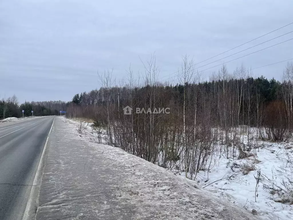 Участок в Владимирская область, Судогодский район, Лавровское ... - Фото 0