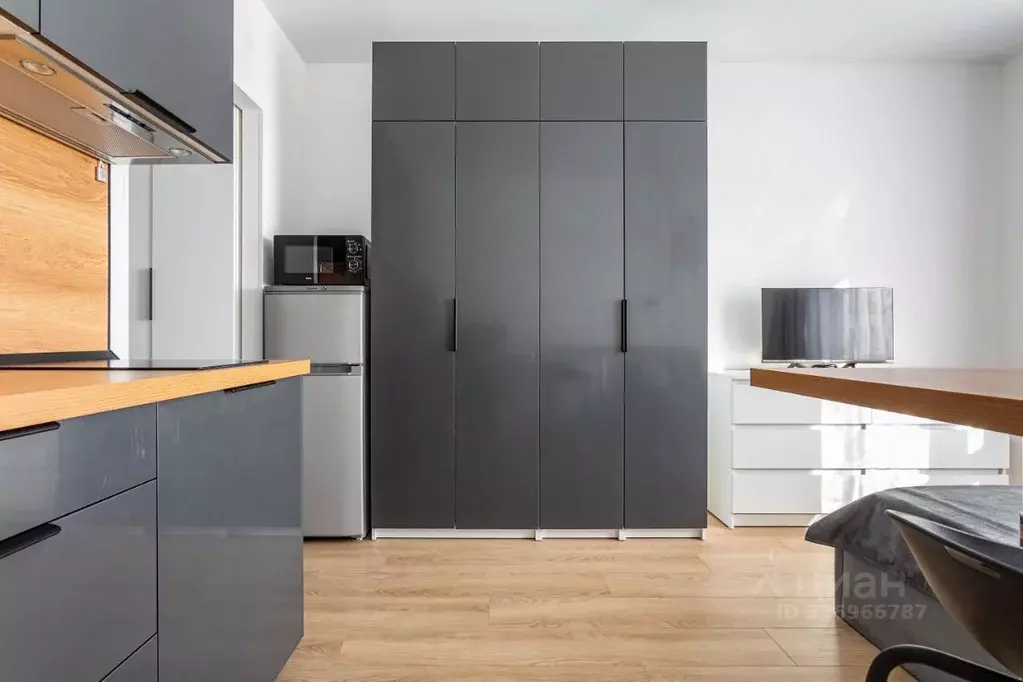 Студия Москва ул. Трехполье, 6к1 (20.0 м) - Фото 2