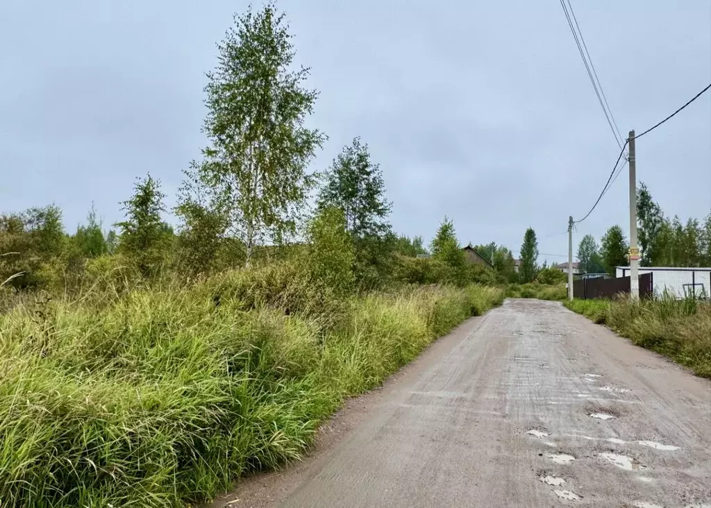 Участок в Ленинградская область, Всеволожский район, Лесколовское ... - Фото 1