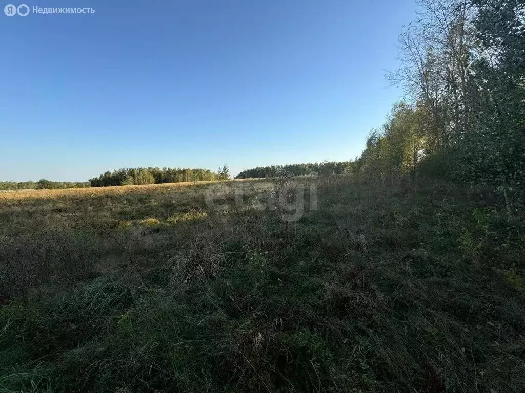 Участок в деревня Новая Велична, Рабочая улица (91.4 м) - Фото 1