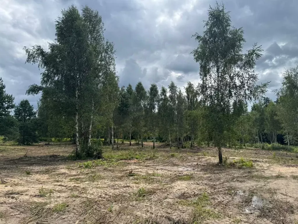 Участок в Московская область, Красногорск городской округ, д. ... - Фото 2