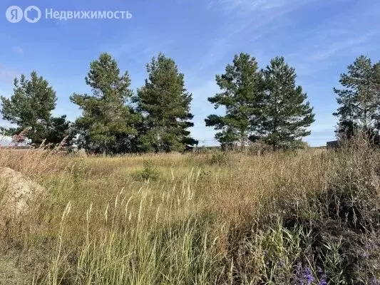 Участок в Ульяновский район, Ишеевское городское поселение, село Новая ... - Фото 1