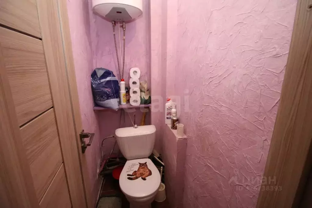 3-к кв. Вологодская область, Шекснинский муниципальный округ, д. ... - Фото 2