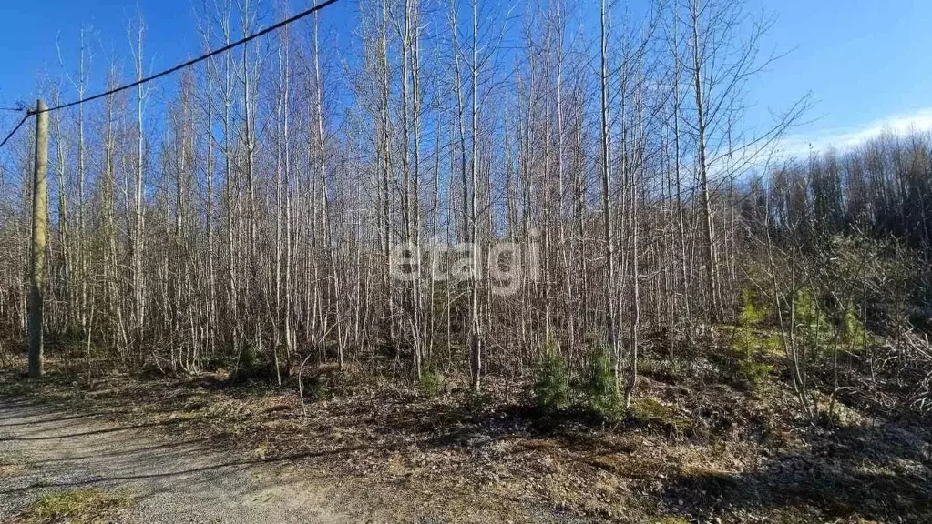 Участок в Ханты-Мансийский АО, Ханты-Мансийск Геофизик-2 СОТ,  (10.0 ... - Фото 0