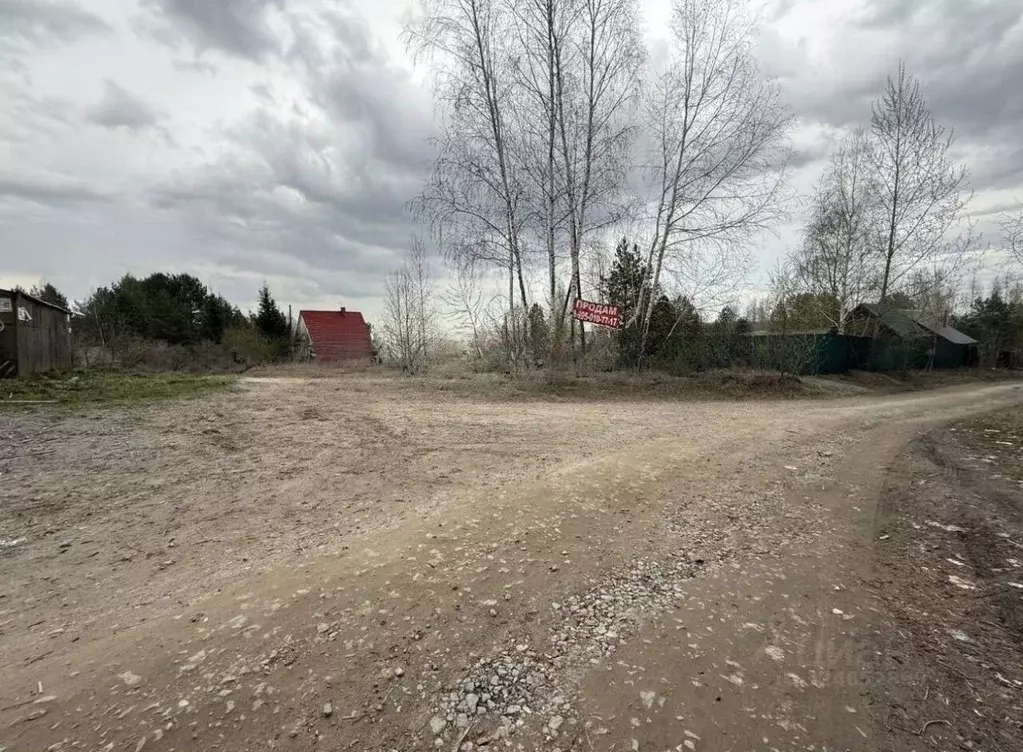 Участок в Новосибирская область, Новосибирский район, Новолуговской ... - Фото 1