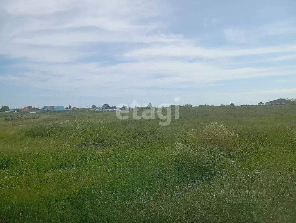 Участок в Тюменская область, Исетский муниципальный округ, с. Шорохово ... - Фото 1