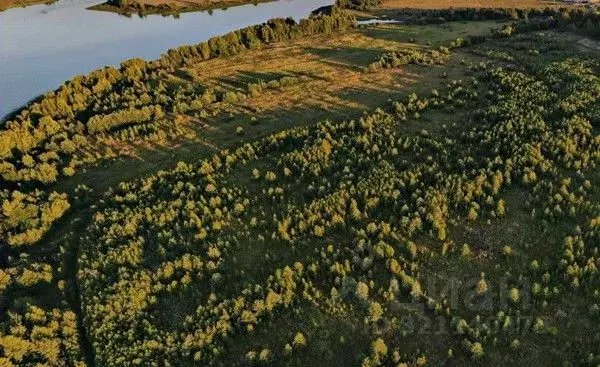 Участок в Московская область, Клин городской округ, д. Голиково  ... - Фото 1