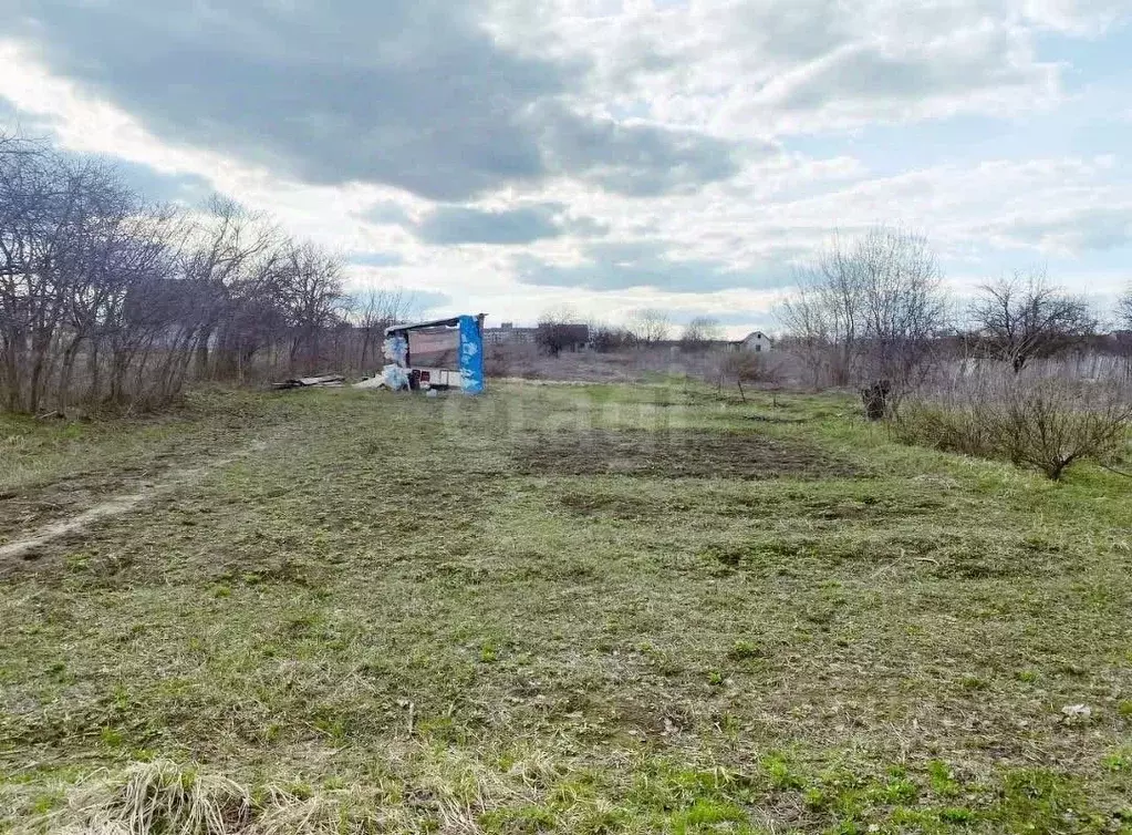 Участок в Брянская область, Брянский район, Снежское с/пос, пос. ... - Фото 1