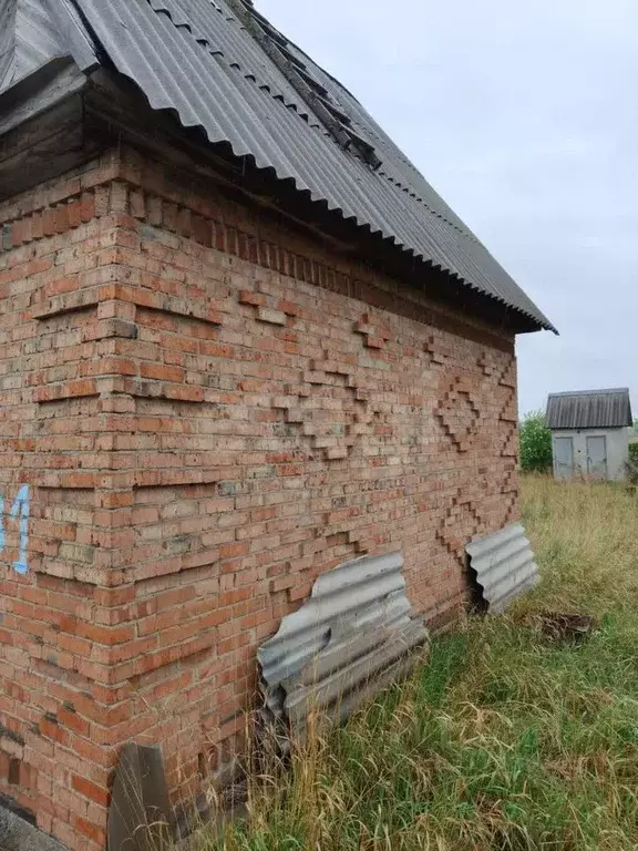 Дом в Омская область, Омский район, Дружинское с/пос, Яблонька-2 СНТ ... - Фото 1