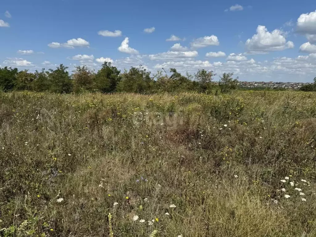 Участок в Белгородская область, Строитель Яковлевский городской округ, ... - Фото 0