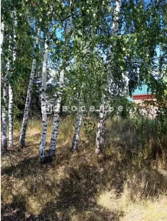 Участок в Рязанская область, Рязанский муниципальный округ, д. Фролово ... - Фото 1