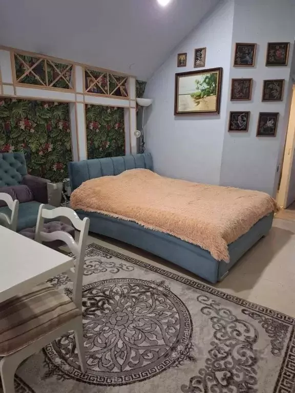 1-к кв. Краснодарский край, Сочи Красная ул., 27 (26.0 м) - Фото 1