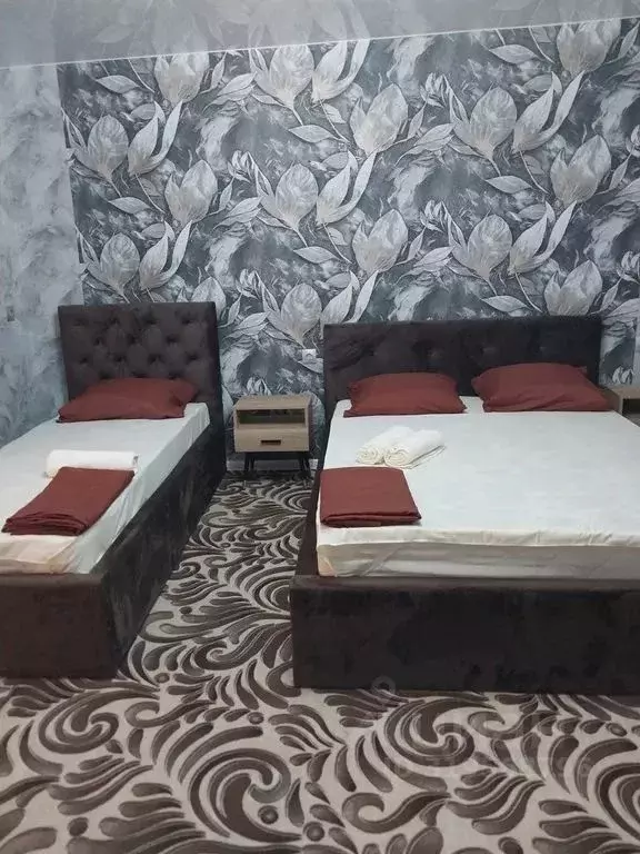 Комната Краснодарский край, Туапсинский муниципальный округ, с. ... - Фото 1