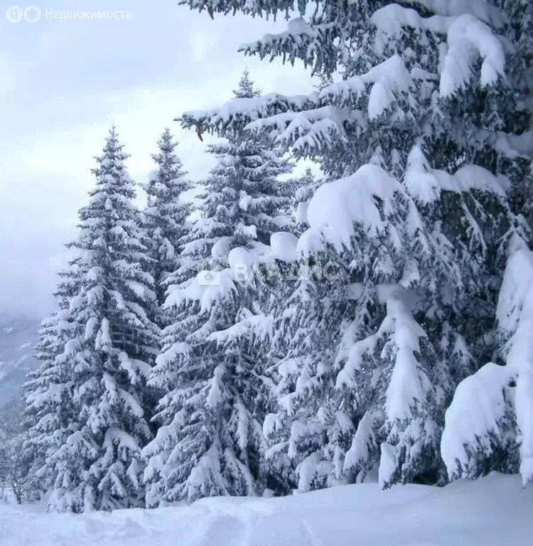 Участок в Иркутский муниципальный округ, посёлок Новая Разводная, ... - Фото 2
