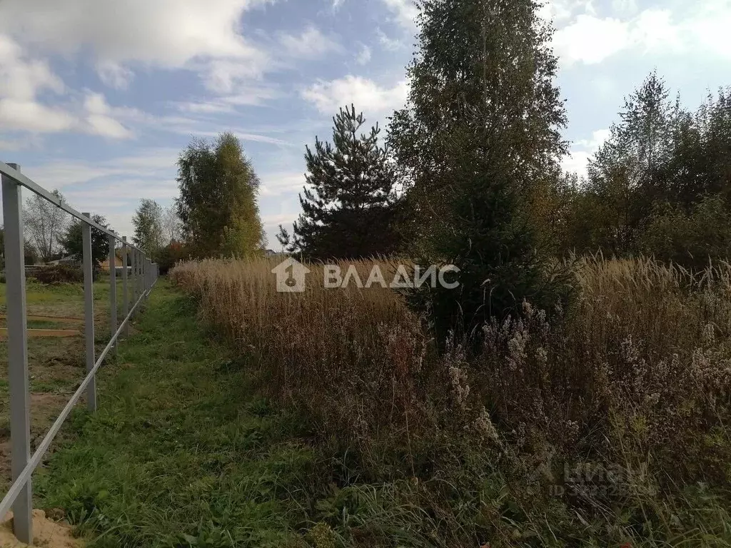 Участок в Владимирская область, Судогодский район, д. Бараки ул. ... - Фото 1