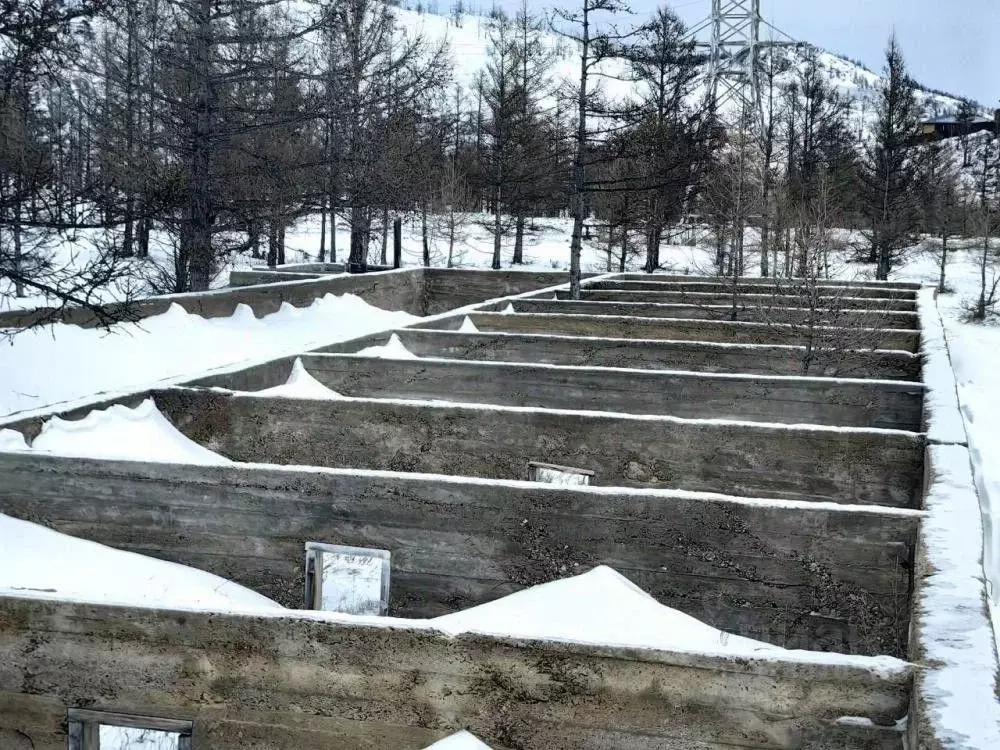 Участок в Иркутская область, Ольхонский район, Шара-Тоготское ... - Фото 2