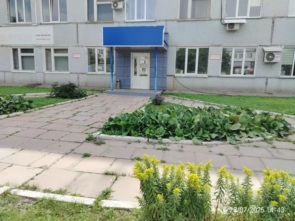 Офис в Новосибирская область, Новосибирск ул. Мира, 58 (57 м) - Фото 2