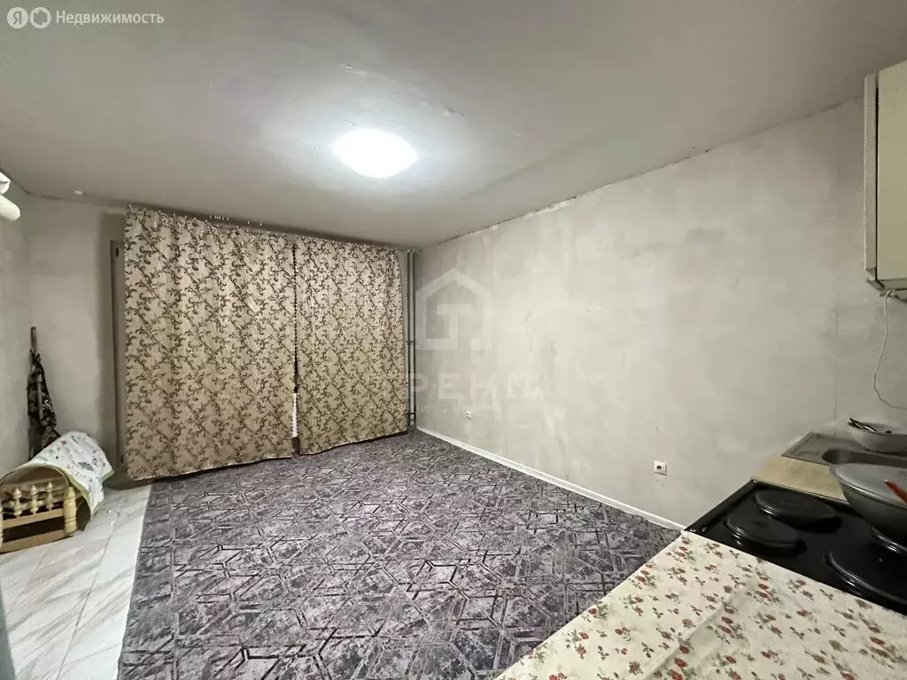 Квартира-студия: посёлок Шушары, Новгородский проспект, 2к1 (24.7 м) - Фото 1