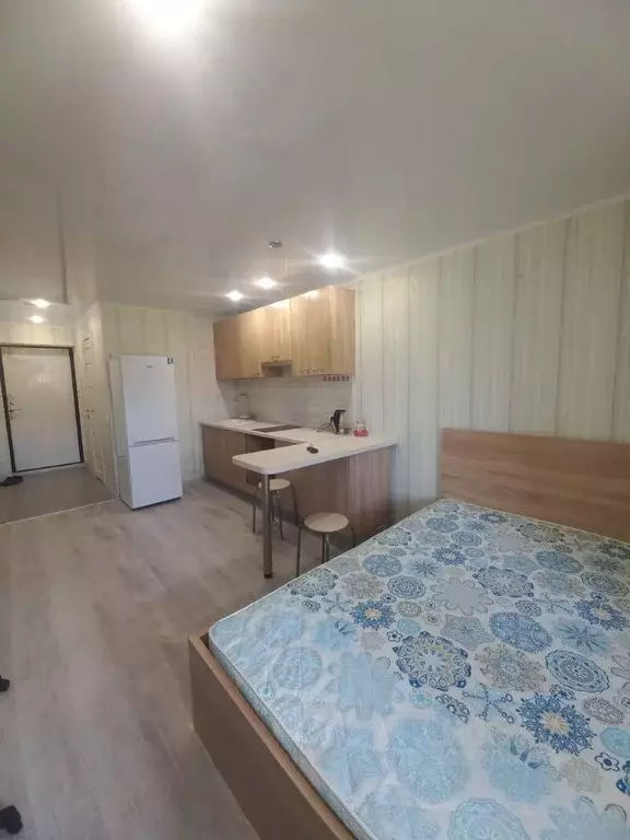 Студия Саратовская область, Саратов проезд 1-й Аэродромный, 2 (22.9 м) - Фото 1