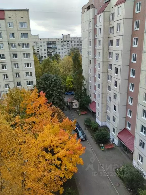 3-к кв. Санкт-Петербург Товарищеский просп., 10К1 (86.6 м) - Фото 1