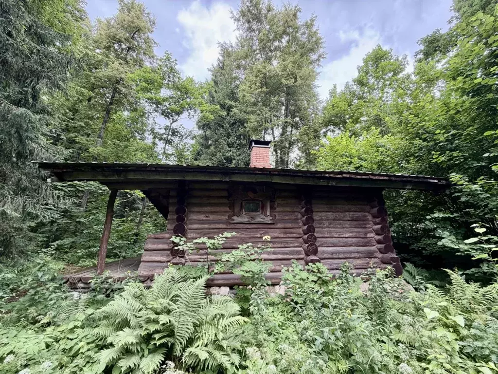 Участок в Московская область, Одинцовский городской округ, Топаз ДНТ ... - Фото 2