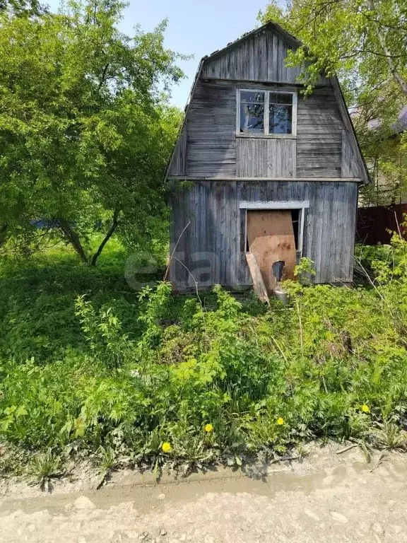 Участок в Сахалинская область, Южно-Сахалинск Дельфин СНТ, 15 (5.39 ... - Фото 1