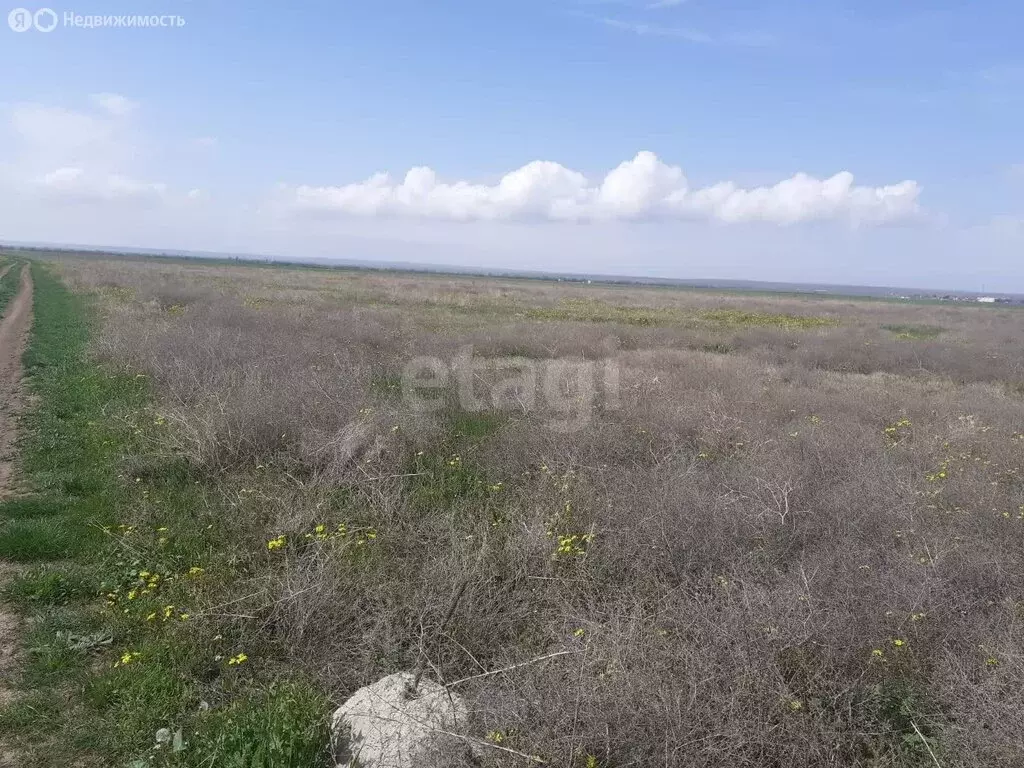 Участок в Черноморский район, Окунёвское сельское поселение, село ... - Фото 1