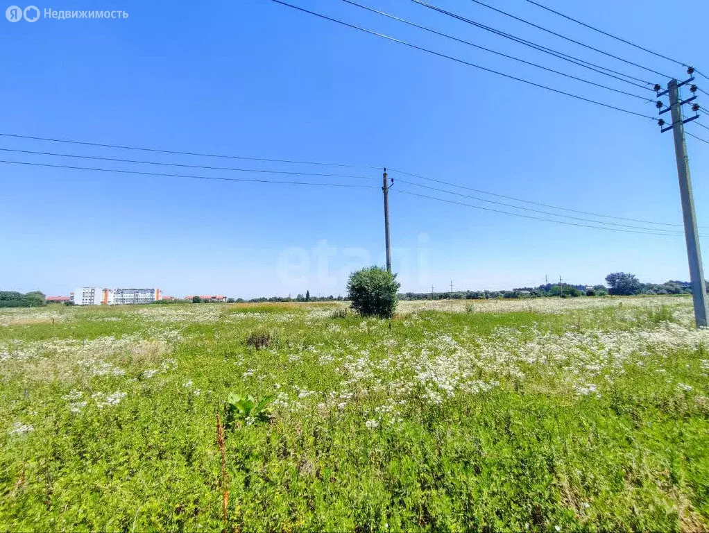 Участок в Нальчик, район Дубки (6.12 м) - Фото 2