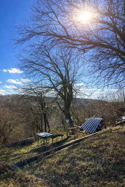 Участок в Самарская область, Самара Рассвет СДТ, 575 (10.0 сот.) - Фото 1