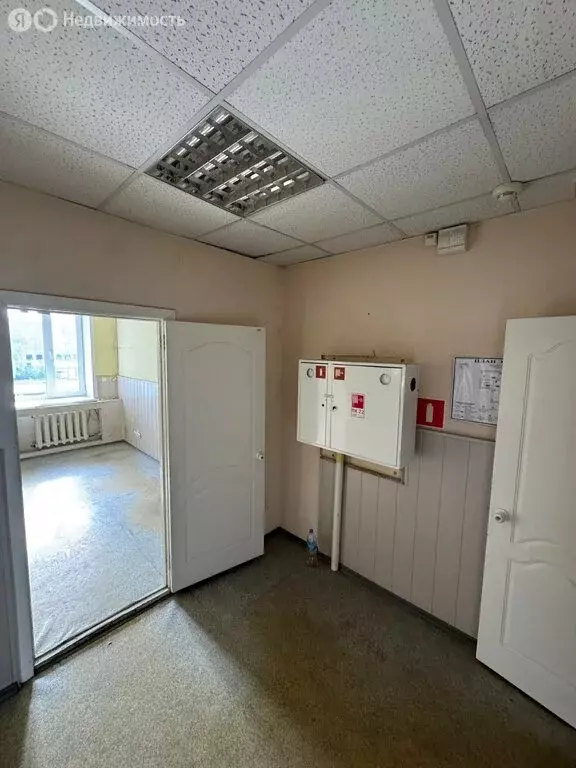 Офис (130.5 м) - Фото 0