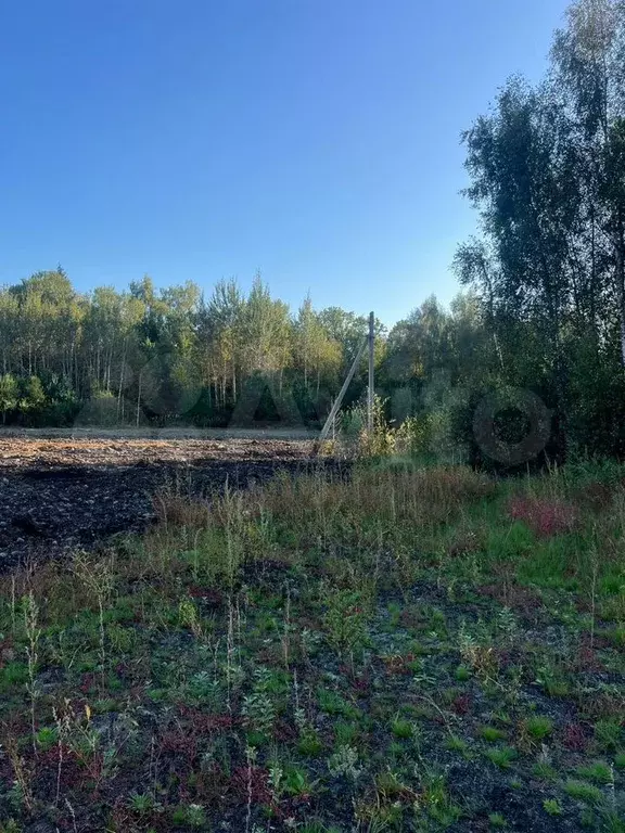 Участок 2,9 сот. (ИЖС) - Фото 1