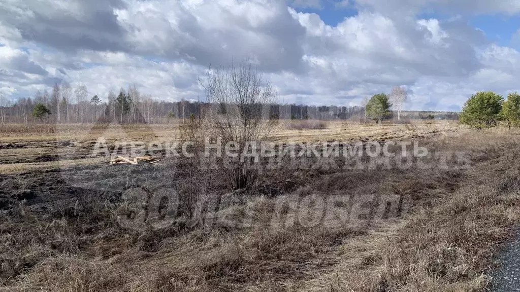 Участок в Тюменская область, Тюмень Велижанский тракт, 7-й км, 2 (6.66 ... - Фото 1